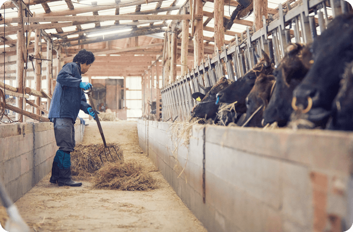 合同会社ABIS［エイビス］動物用医薬品や健康補助剤を正しく使用するための手助け（診断やコンサルティング）を並行的に実施